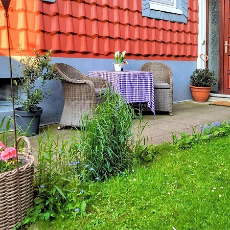 Hirsch Gartenschlaefer - Zentral - Garten