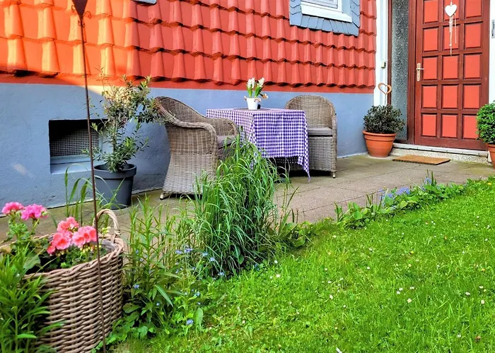 Hirsch Gartenschlaefer - Zentral - Garten